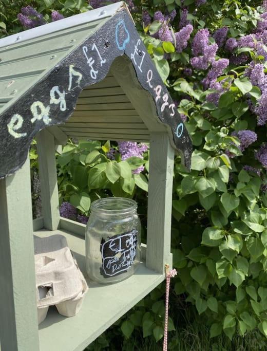 The Annex: 2 Bedroom Cottage, Countryside, Peaceful Getaway With Garden Easingwold Extérieur photo